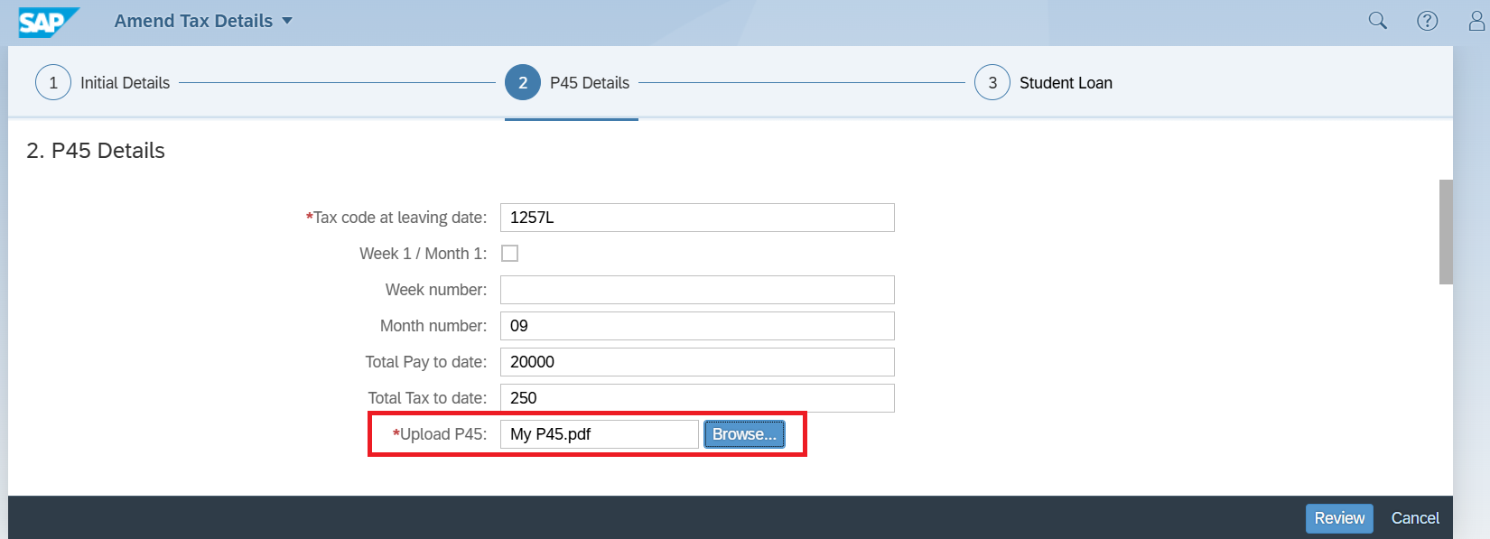 An example of the P45 details section
