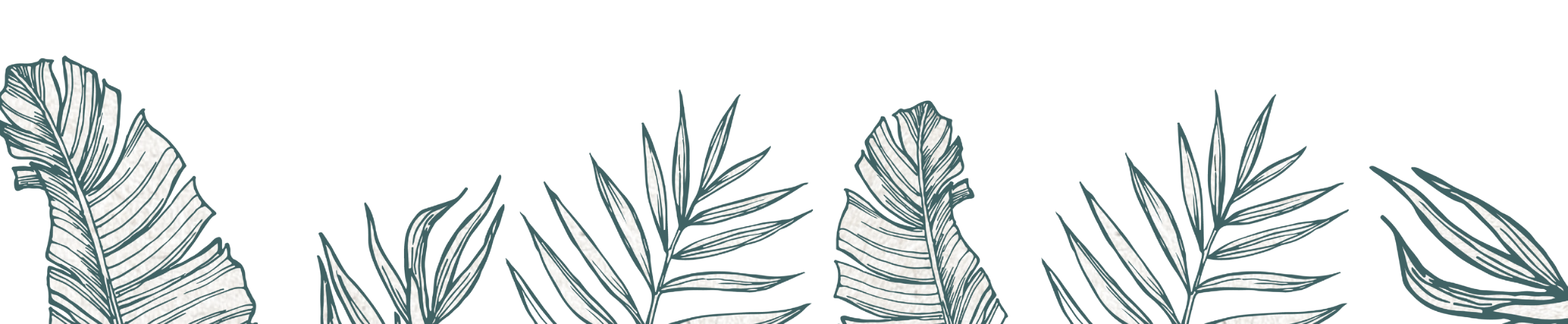hand-drawn image of leaves