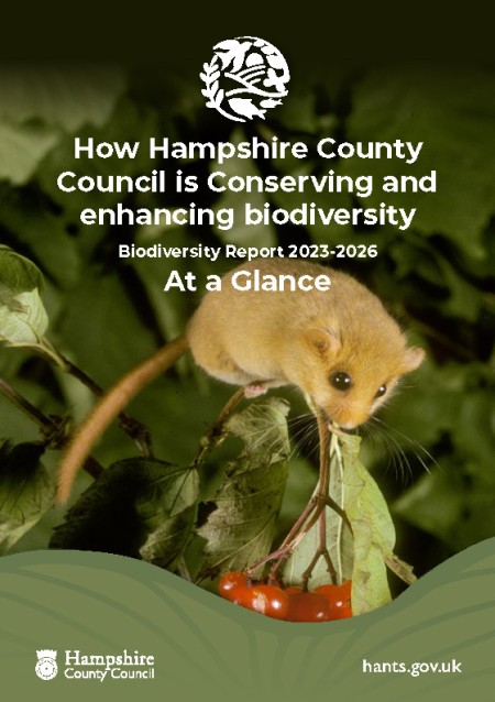 Hampshire Biodiversity 2023 to 2026 summary