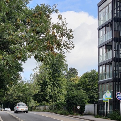 Street view