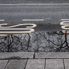 Photo of a puddle on a road by a bus stop