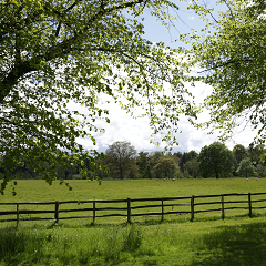Photograph of a country scene