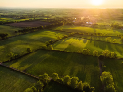 Fields