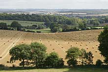 Rural Hampshire