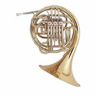 French horn white background