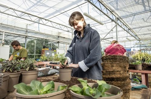 A woman working with plants