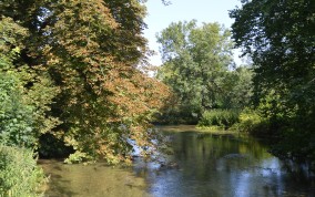 Landscape image of a river