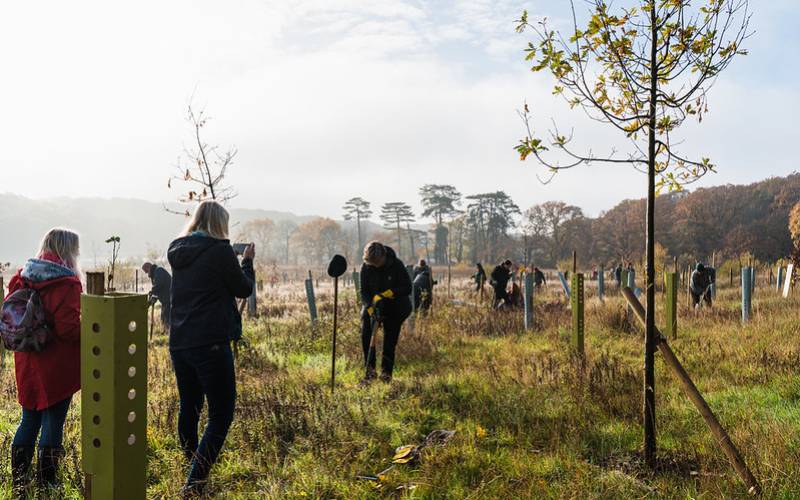 A group of people helping to plant trees in a field.