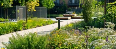 Area of garden