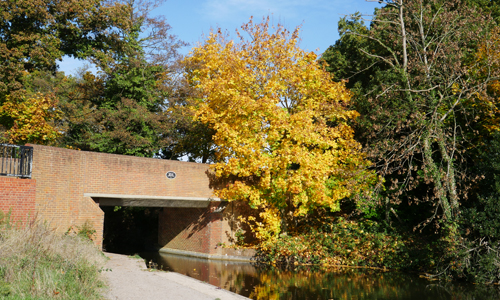 Mytchett Lake Canal Bridge