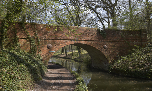 Stacey's Bridge