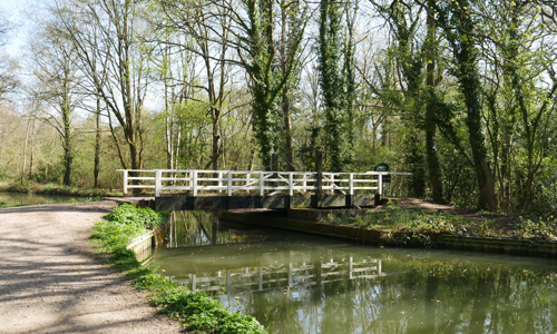 Zephon Common Swing Bridge