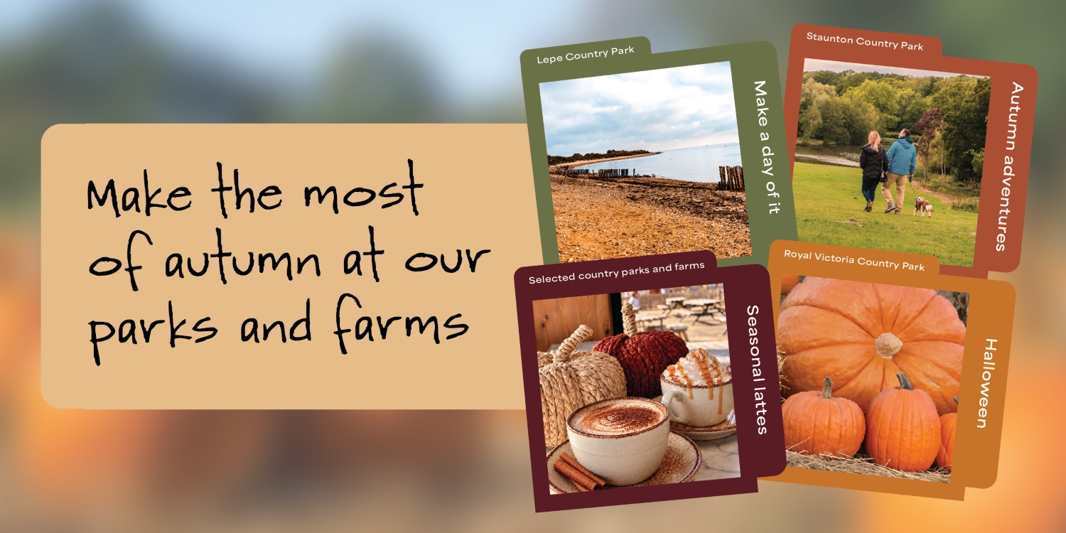 Discover your favourite things at our parks and farms this autumn