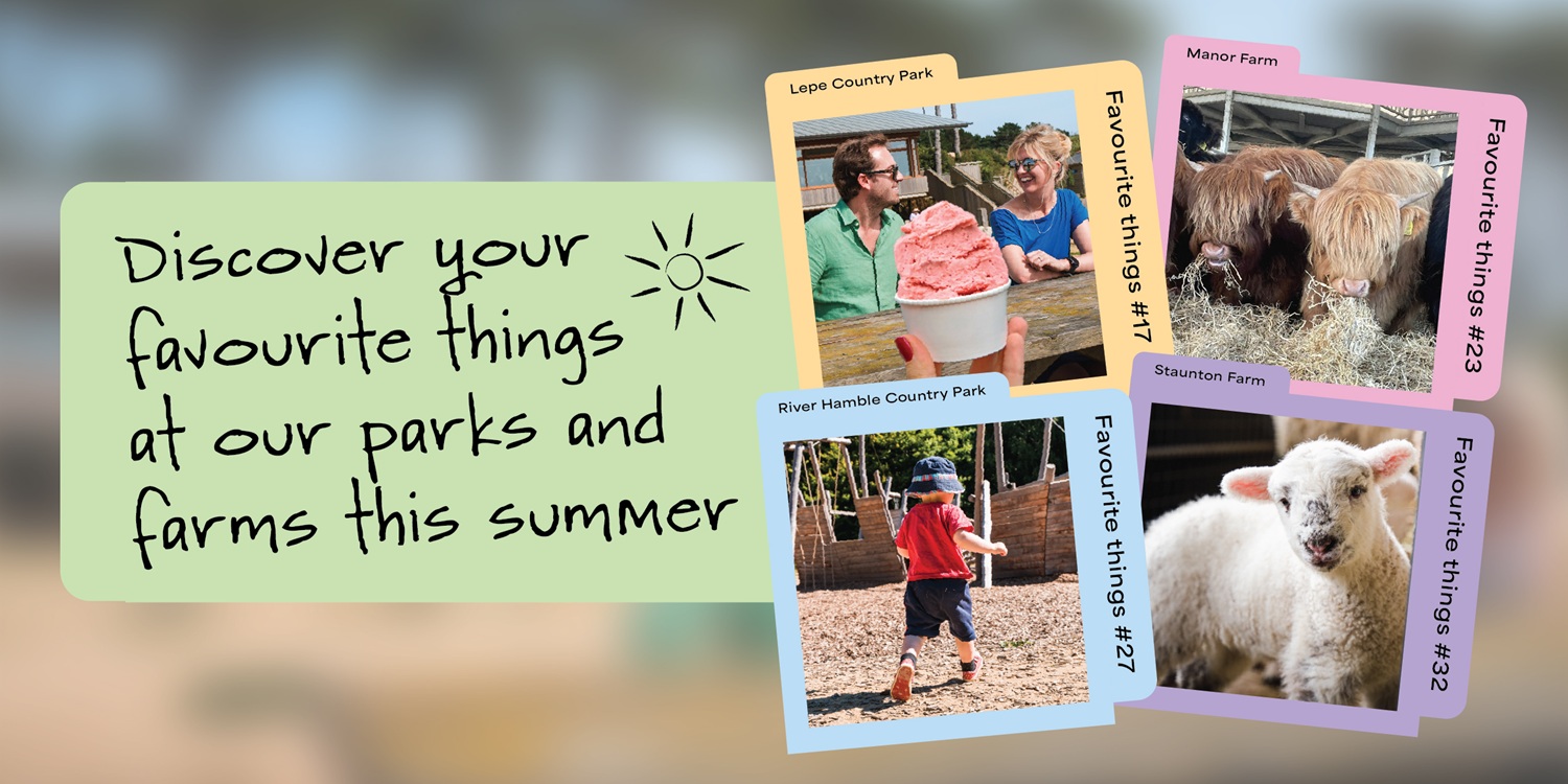 Discover your favourite things at our parks and farms this summer