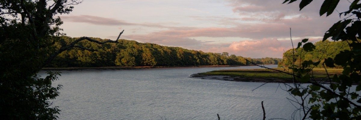 View of the river through the trees at River Hamble Country Park