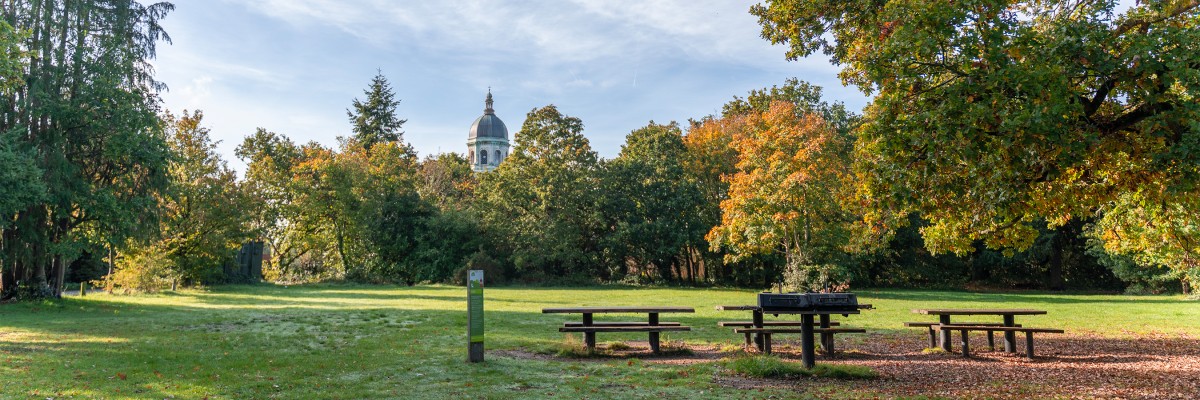 A field with surrounded by trees