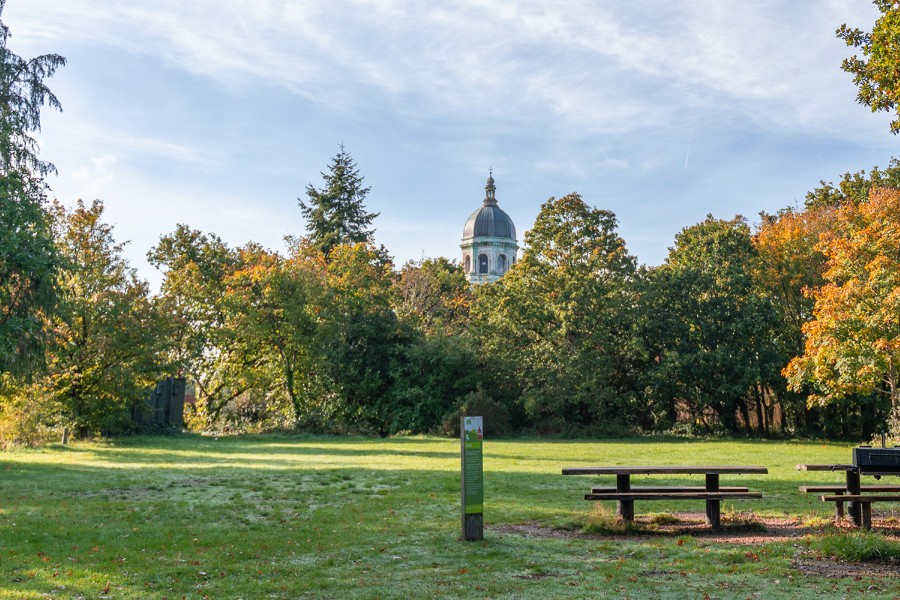 A field with surrounded by trees