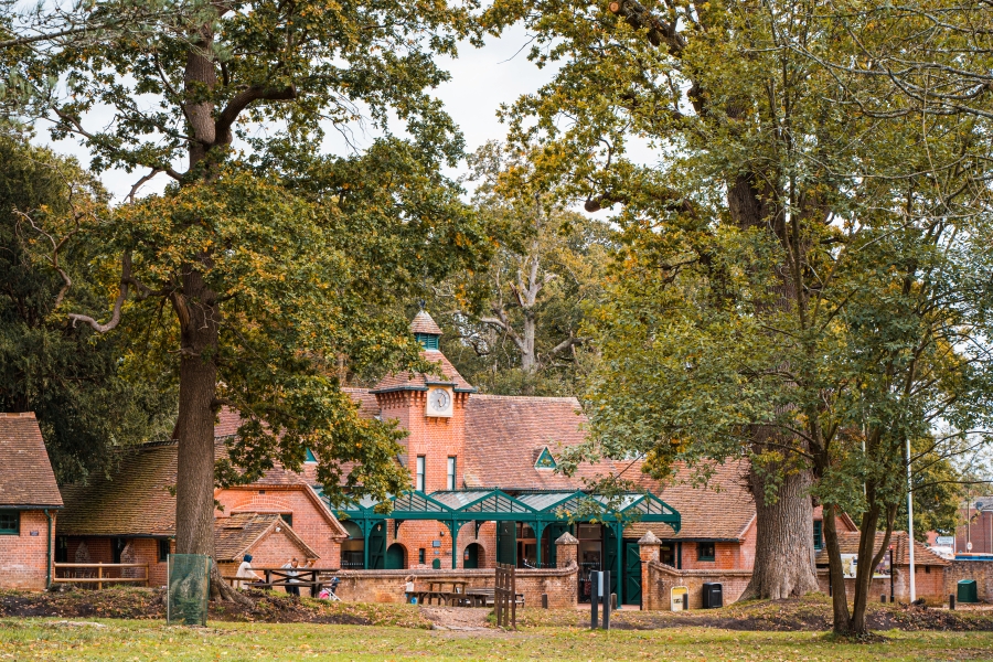 The courtyard entrance at Staunton Country Park