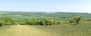 Beacon Hill