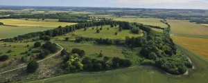 Danebury