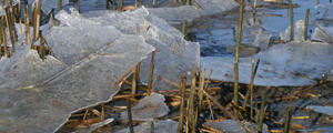 Icy river