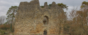 Odiham Castle