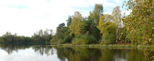 Shortheath Common