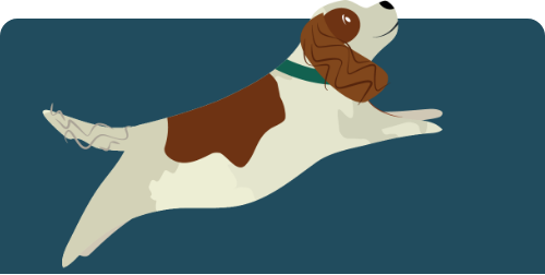 Cartoon dog jumping