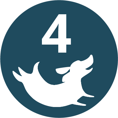 maximum four dogs icon