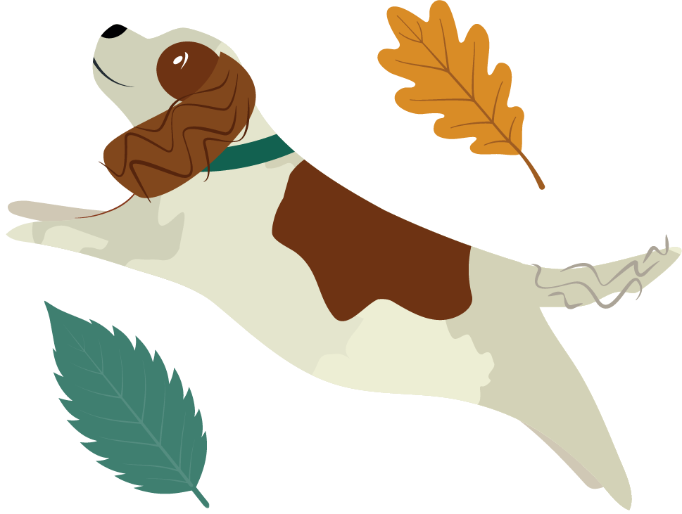 A dog jumping into the air