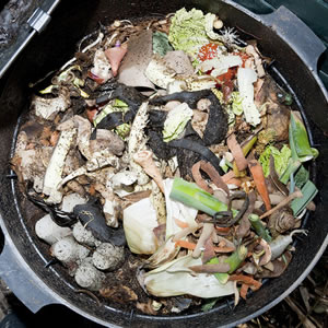 Compost waste image