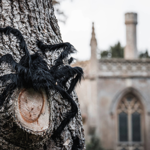 A giant spider on a tree with Staunton Farm's gothic library in the background.
