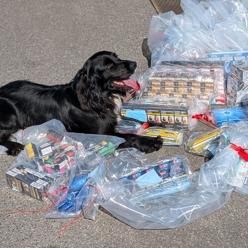 Hundreds of illicit vapes and cigarettes seized from premises in Ringwood and Totton