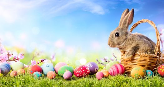 Bunny & Easter Eggs