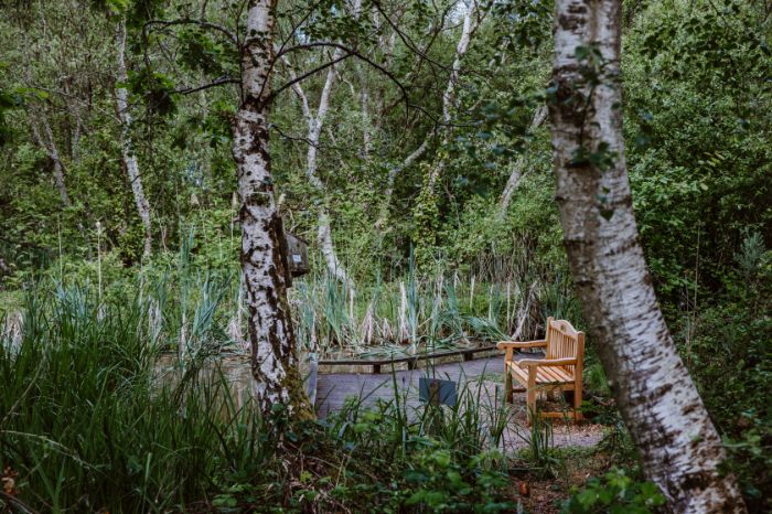 A wooden bench on the boardwalk