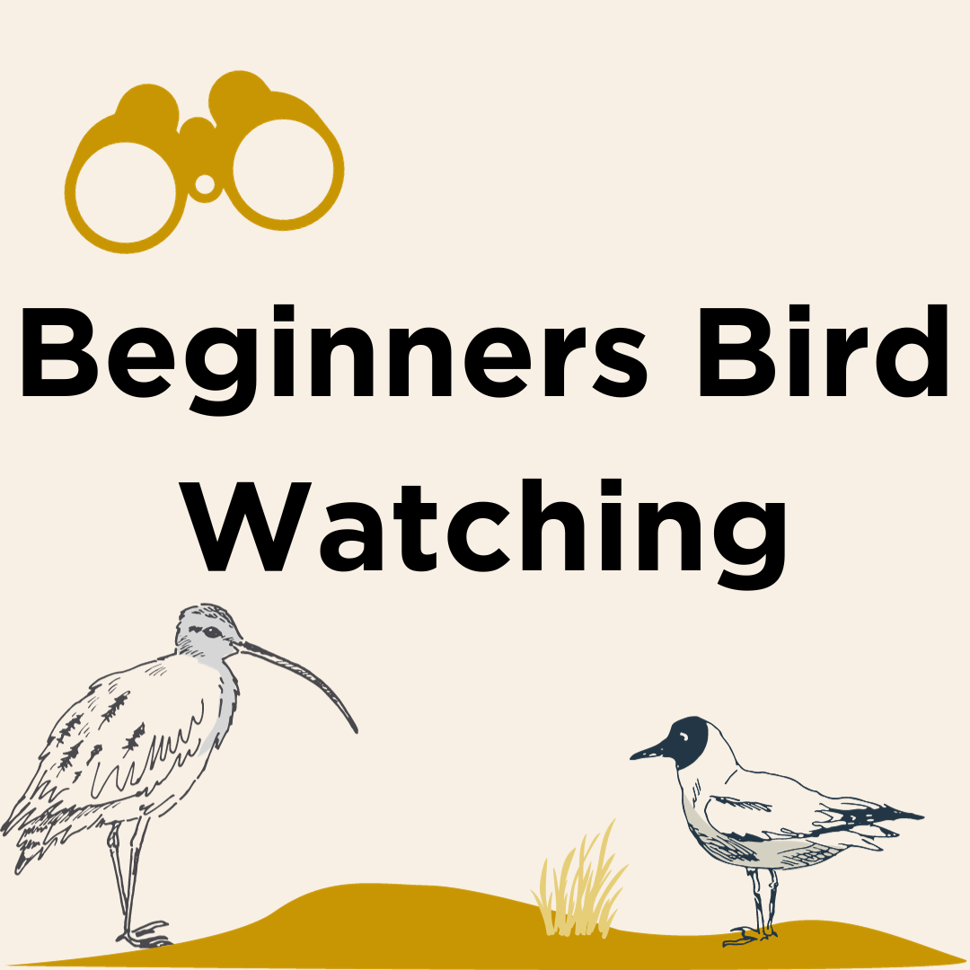 Bird Watching