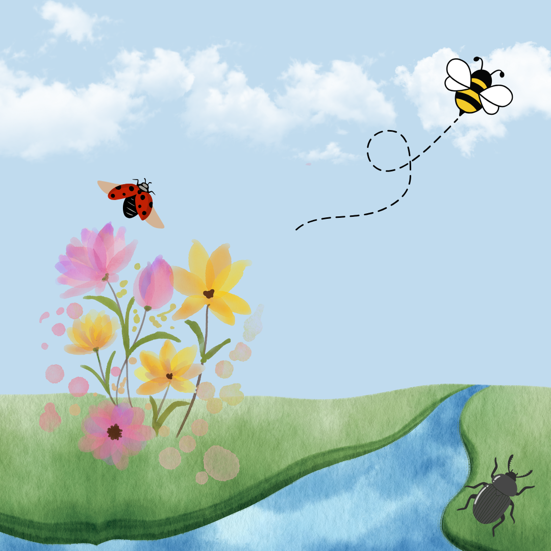 insect walk 