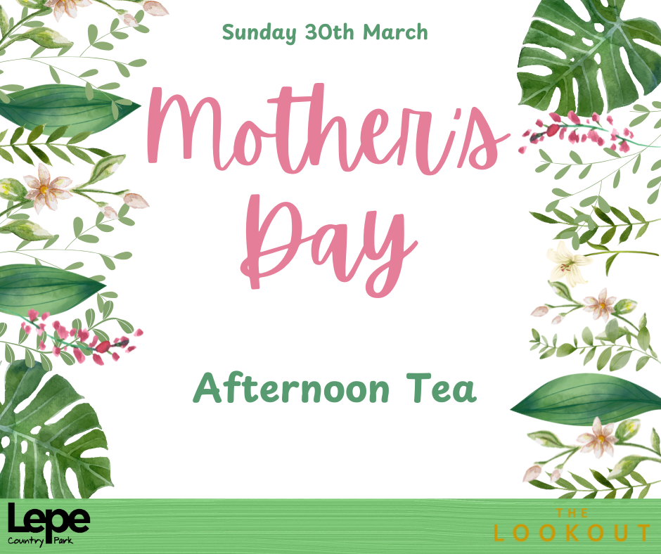 mothers day afternoon tea 