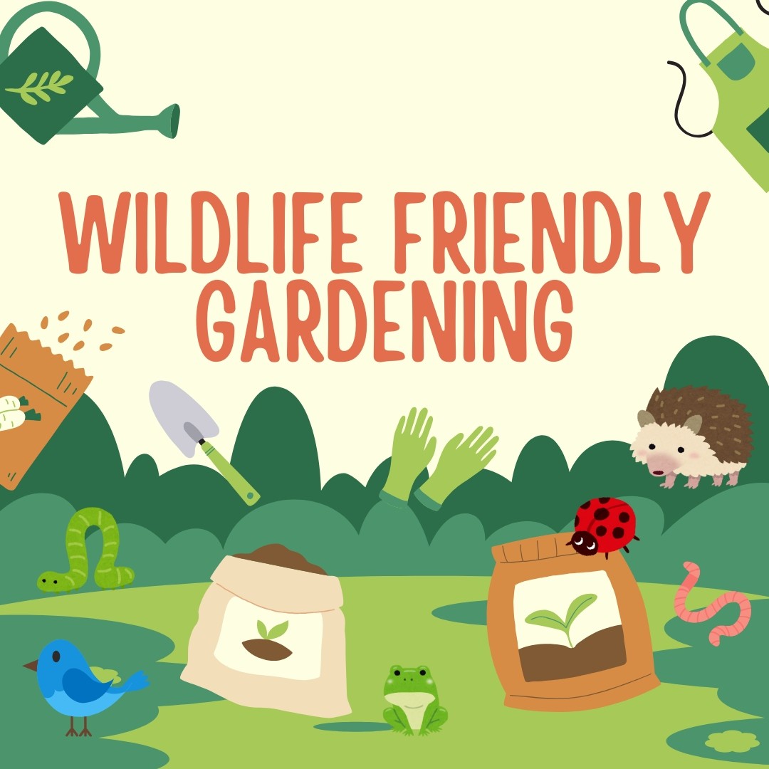 gardening for adults