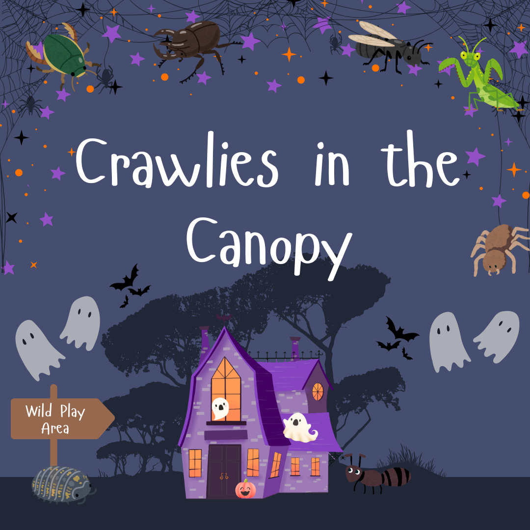 Halloween Trail 25