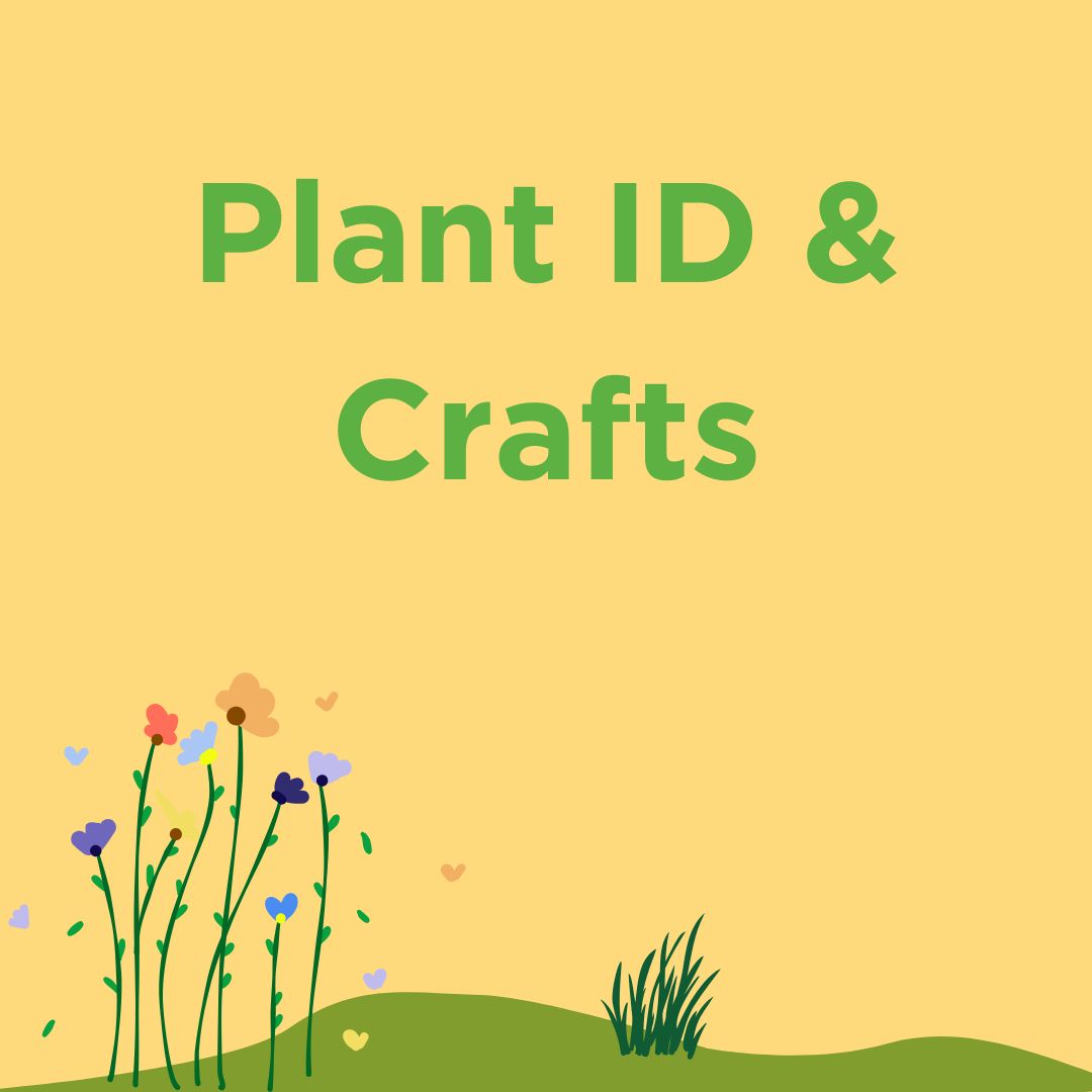 Plant ID 