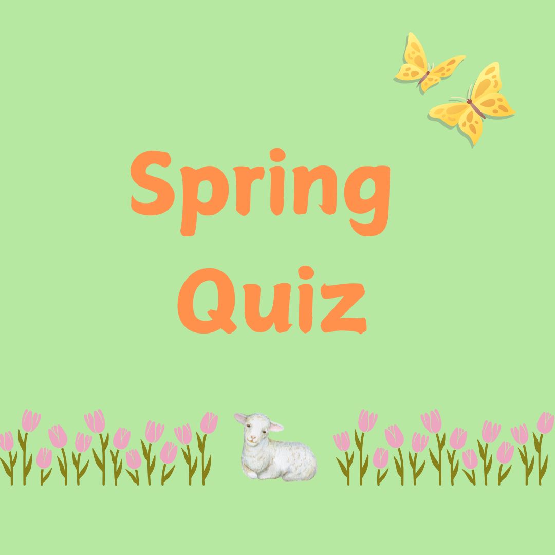 Spring Quiz | Things to do in Hampshire | Hampshire County Council