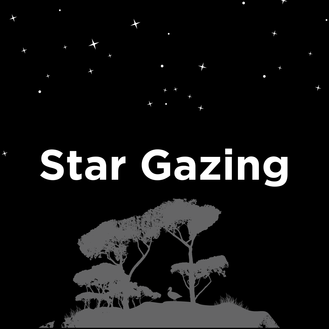 stargazing