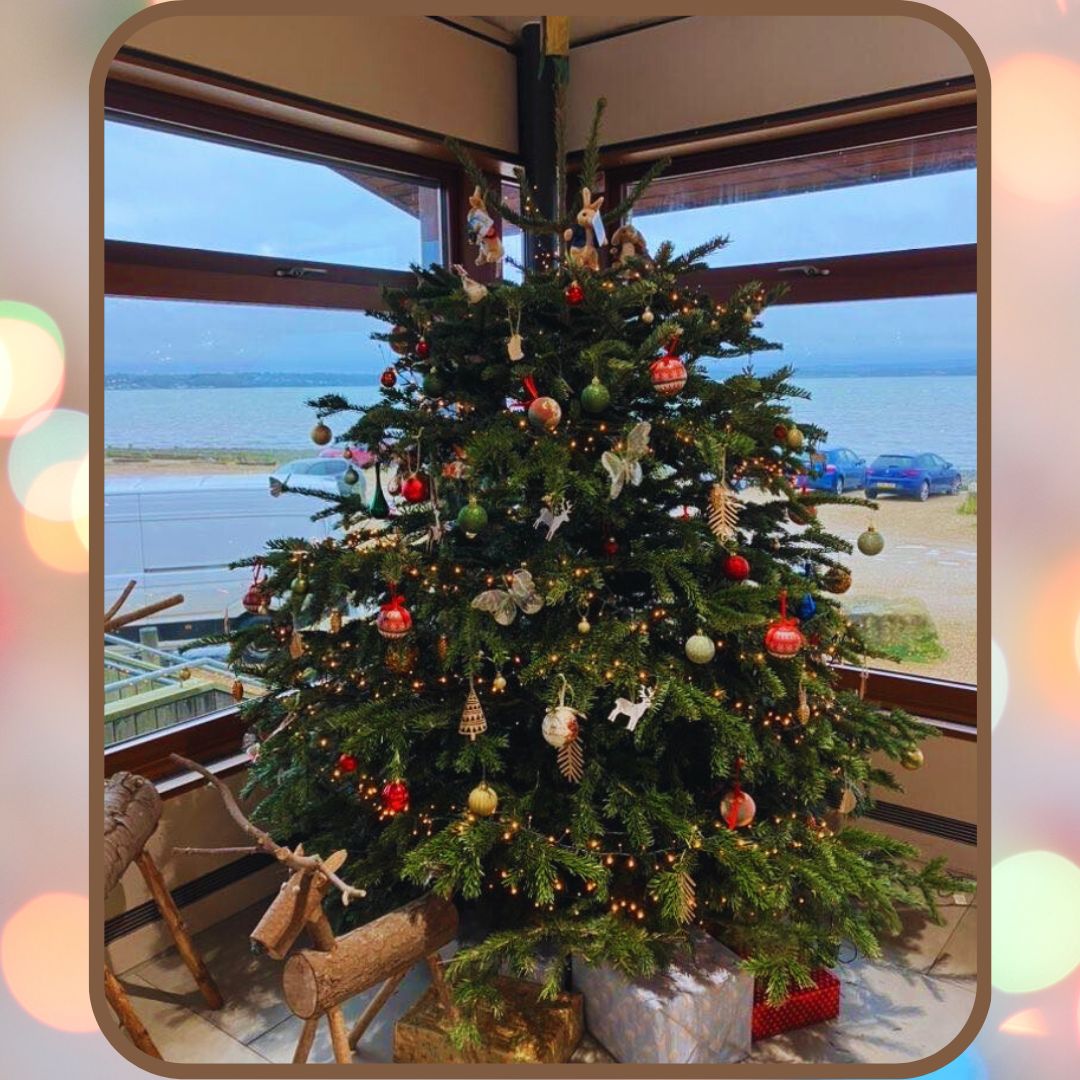 Christmas Tree 