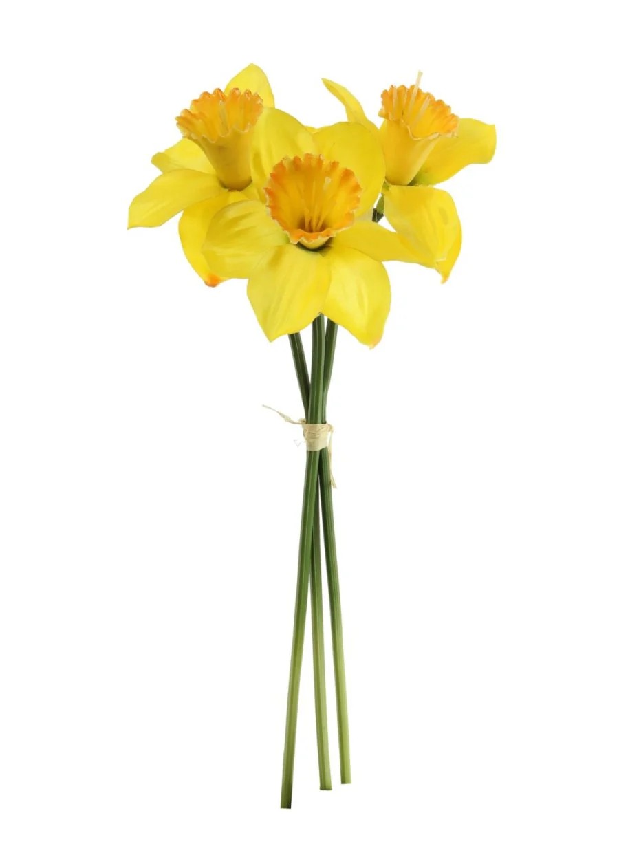 Small daffodil posy