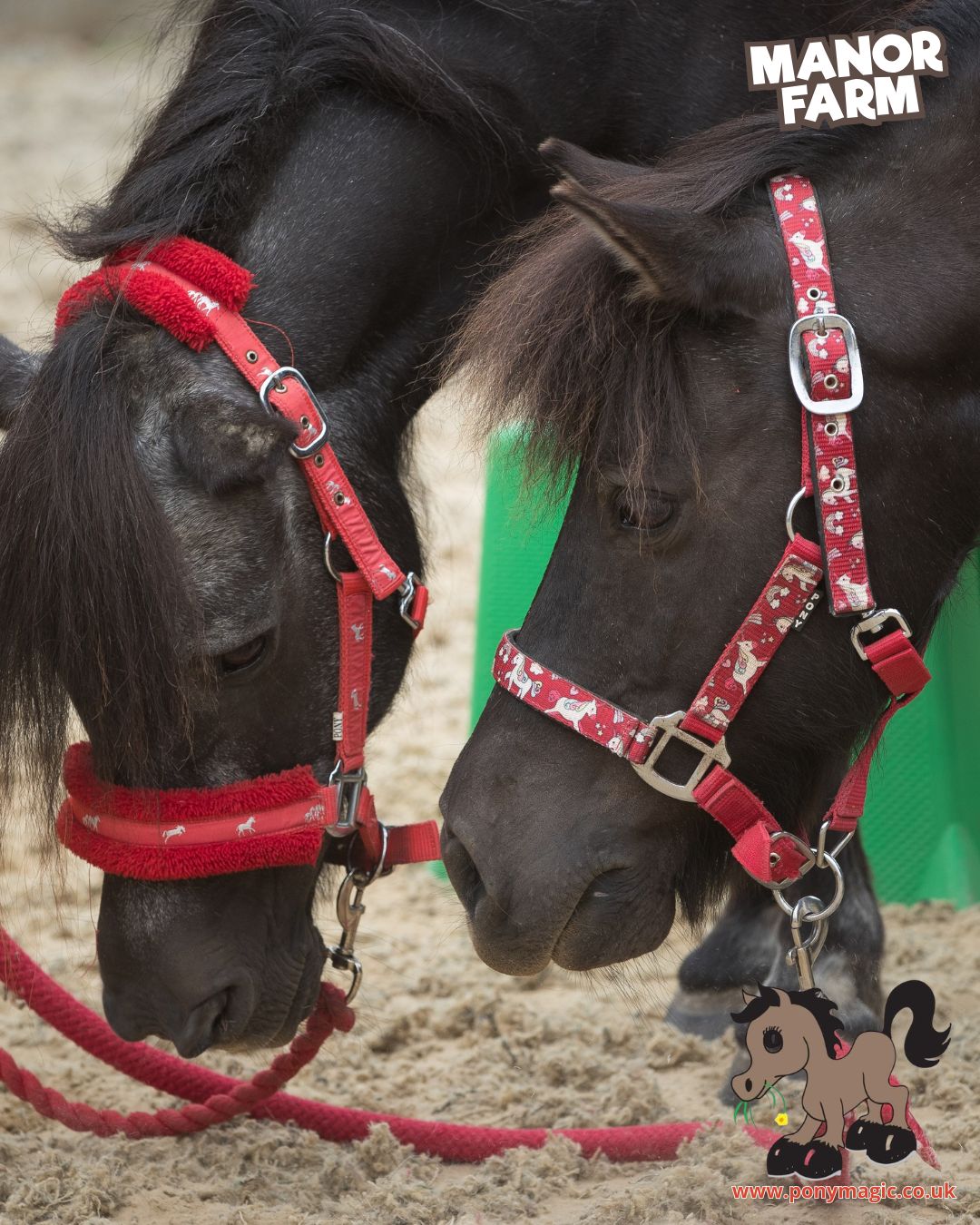 Pony Magic Summer 26
