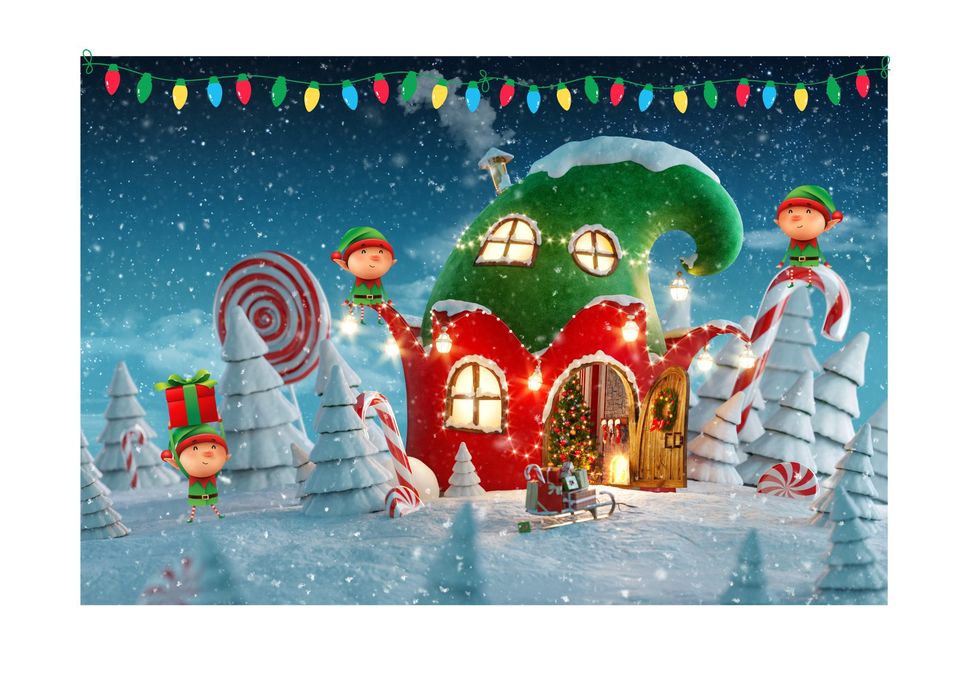 Elf House 2024