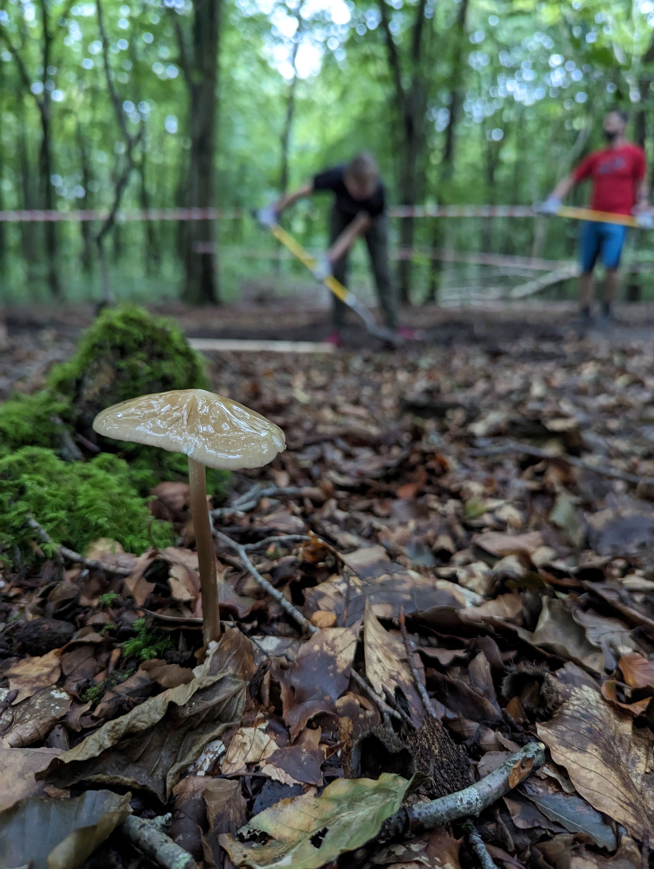 Love Parks Week - Dig Day Bike Trails | Things to do in Hampshire ...