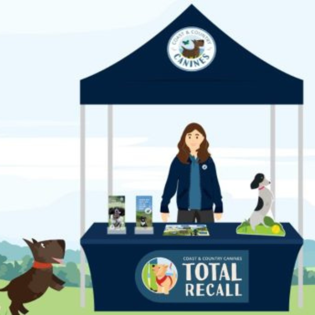Total Recall