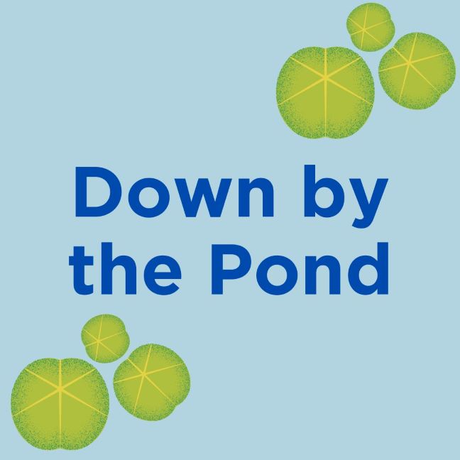 Pond